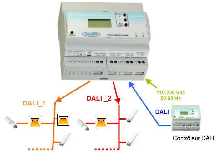 Synoptique utilisation dupliqueur de bus DALI DALI_BOOST